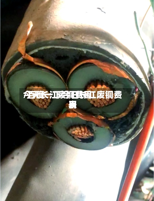 今天长江废铜费用/百度一下今日长江废铜费用表