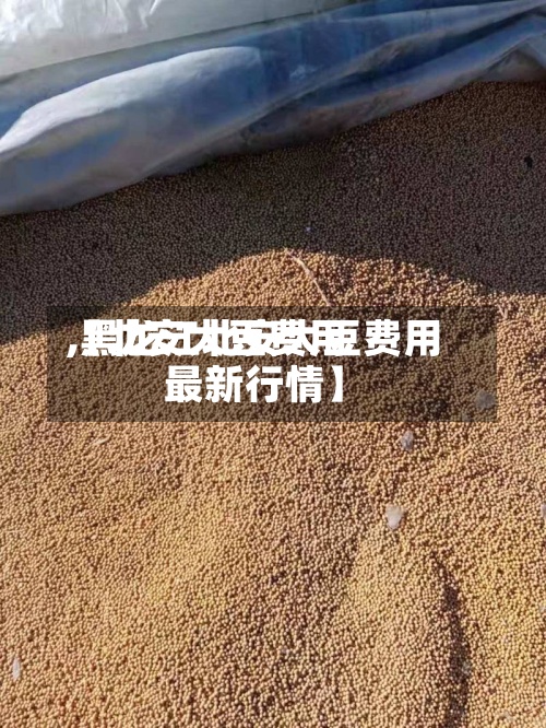 【北安大豆费用,黑龙江北安大豆费用最新行情】-第2张图片