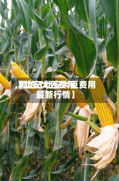 【北安大豆费用,黑龙江北安大豆费用最新行情】