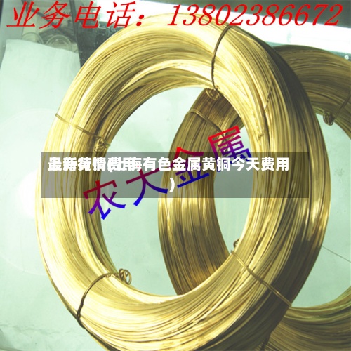 上海黄铜费用最新行情(上海有色金属黄铜今天费用)