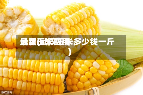 最新玉米费用武汉(武汉玉米多少钱一斤)