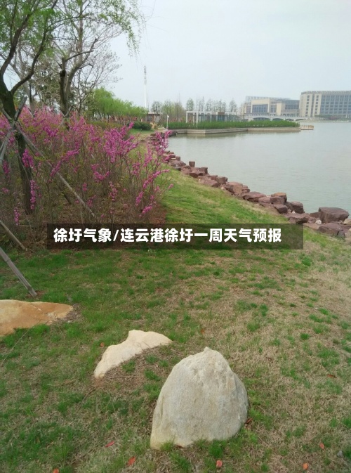 徐圩气象/连云港徐圩一周天气预报-第2张图片