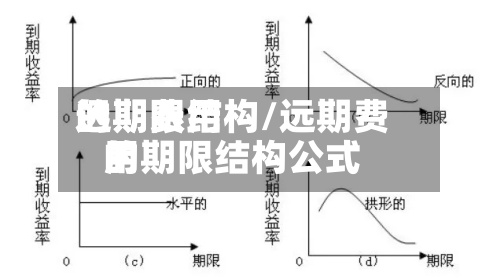 远期费用
的期限结构/远期费用
的期限结构公式-第2张图片