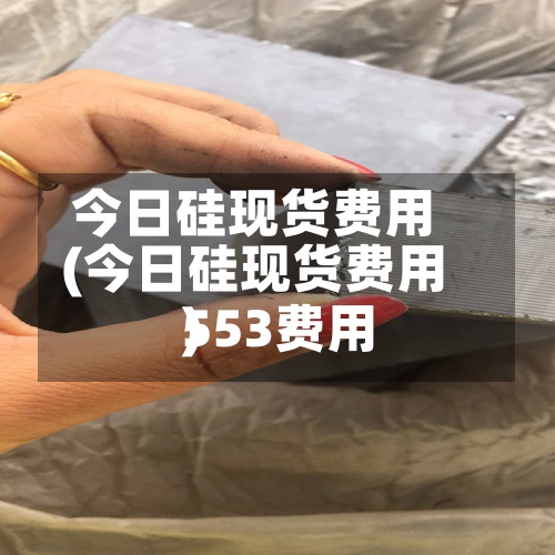 今日硅现货费用(今日硅现货费用553费用)-第2张图片