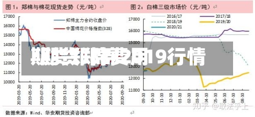期货郑棉费用/期货郑棉2019行情