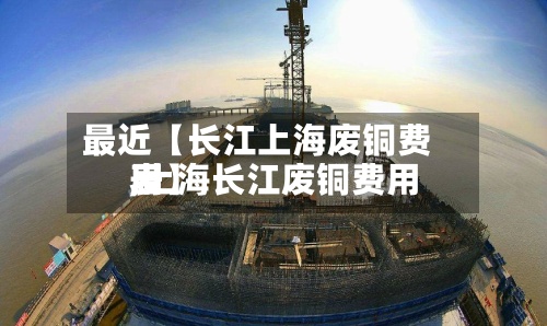 最近【长江上海废铜费用,上海长江废铜费用表】-第3张图片