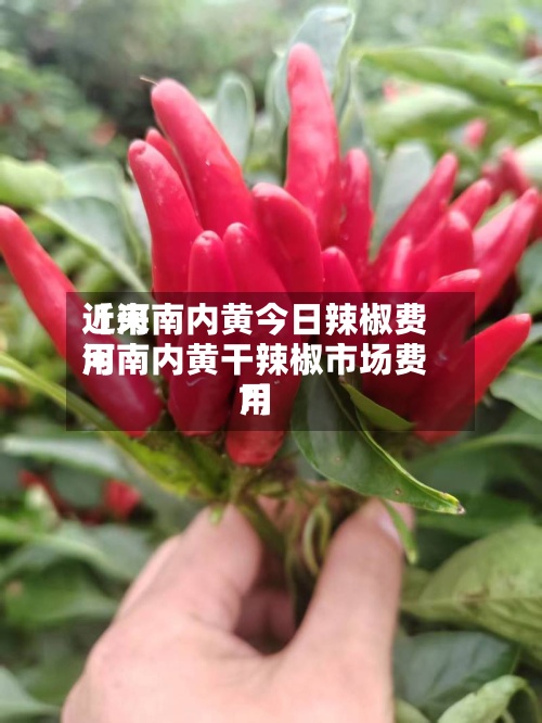 近来【河南内黄今日辣椒费用河南内黄干辣椒市场费用?】-第2张图片