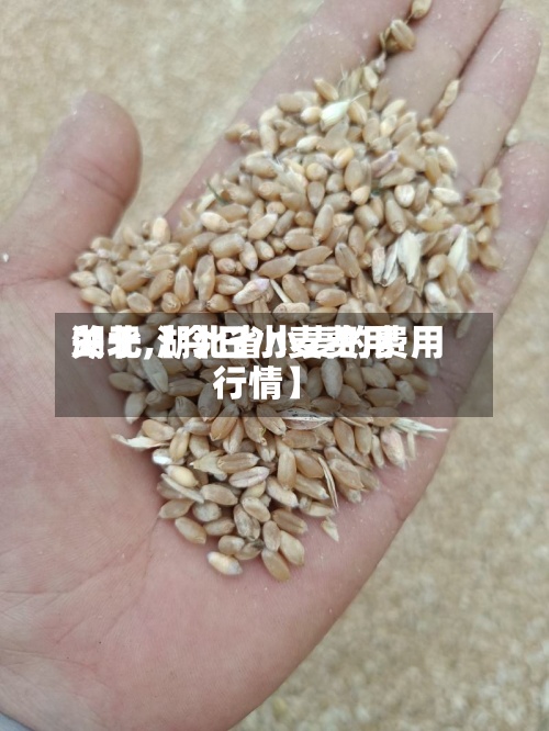 关于【今日小麦费用湖北,湖北省小麦的费用行情】-第3张图片