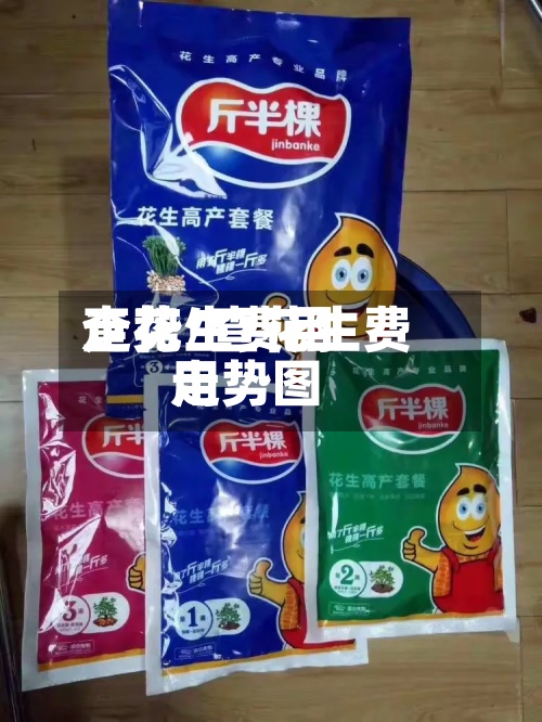 查花生费用走势/查花生费用走势图