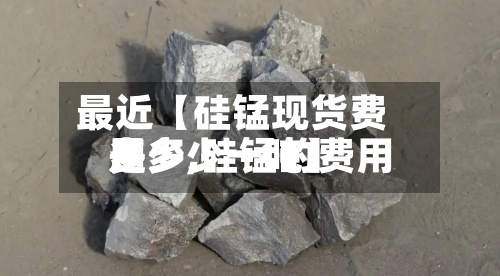 最近【硅锰现货费用多少,硅锰的费用是多少一吨】-第3张图片