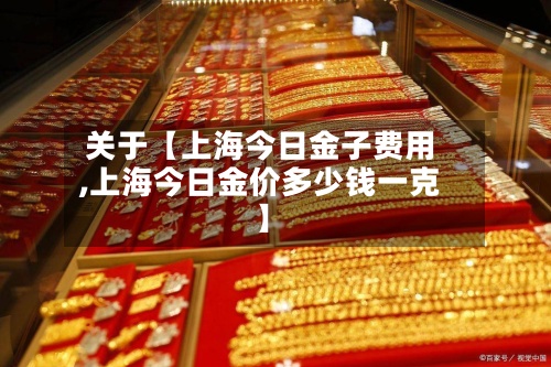 关于【上海今日金子费用,上海今日金价多少钱一克】