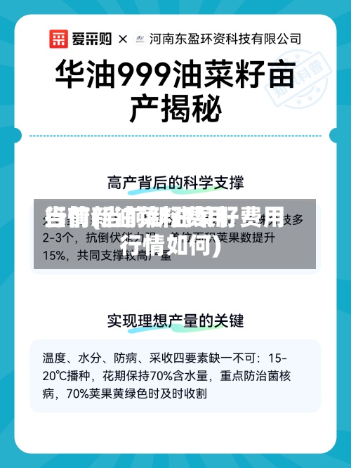 当前新油菜籽费用行情(当前新油菜籽费用行情如何)