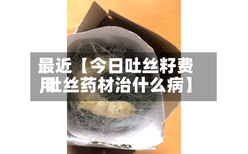 最近【今日吐丝籽费用,吐丝药材治什么病】