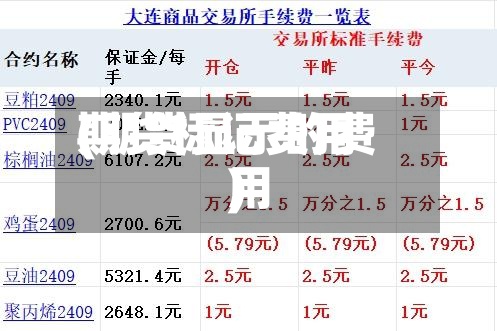 期货标记费用(期货显示的费用)