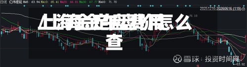 上海金定盘费用/上海金午盘价怎么查