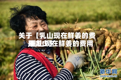 关于【乳山现在鲜姜的费用,乳山现在鲜姜的费用是多少】-第2张图片