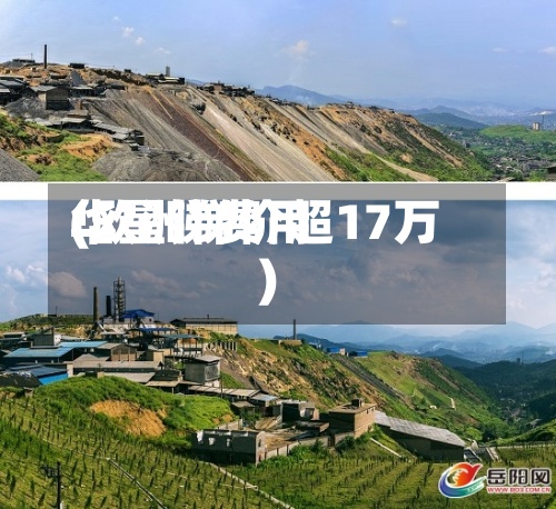 华星锑费用(欧洲锑价超17万)