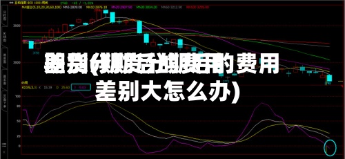 期货分期后的费用差别(期货分期后的费用差别大怎么办)-第3张图片