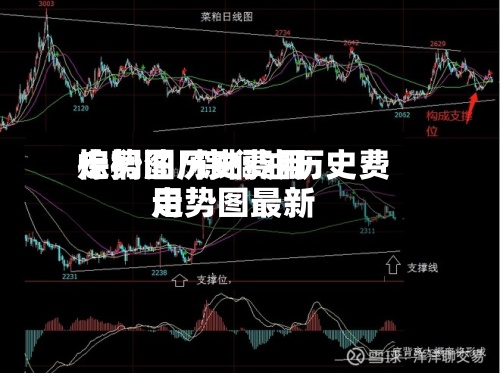 棕榈油历史费用走势图/棕榈油历史费用走势图最新-第2张图片