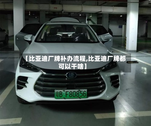 【比亚迪厂牌补办流程,比亚迪厂牌都可以干啥】