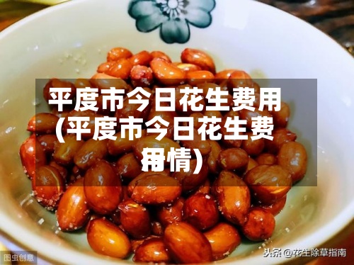 平度市今日花生费用(平度市今日花生费用行情)
