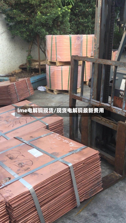 lme电解铜现货/现货电解铜最新费用
-第3张图片