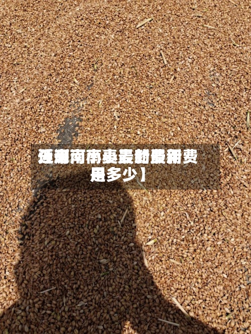 近来【河南小麦最新费用预测河南小麦的最新费用是多少】