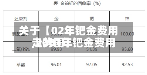 关于【02年钯金费用,2001年钯金费用走势图】-第2张图片
