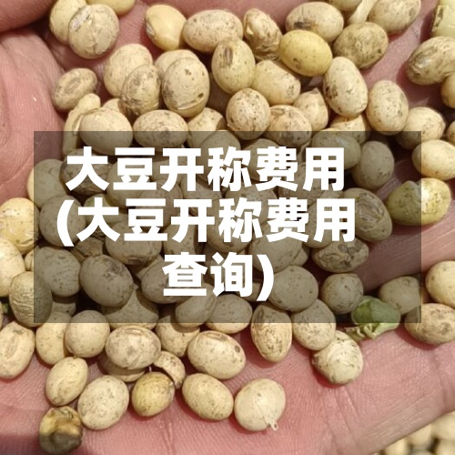 大豆开称费用(大豆开称费用查询)
