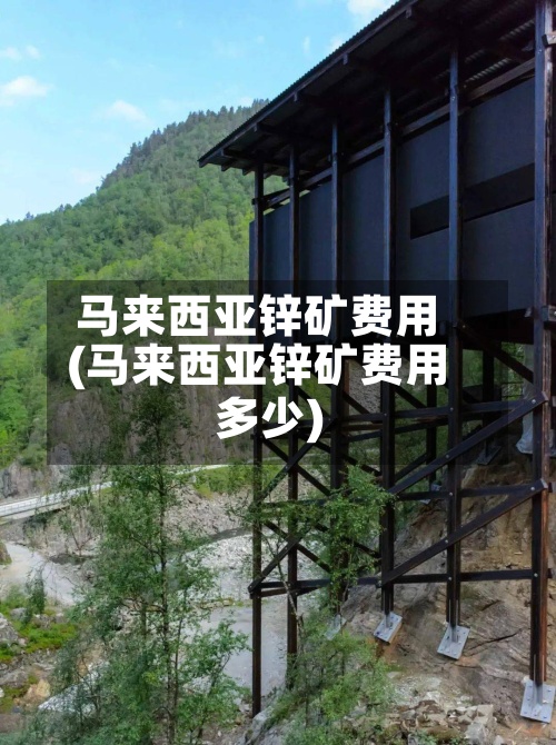 马来西亚锌矿费用(马来西亚锌矿费用多少)-第2张图片