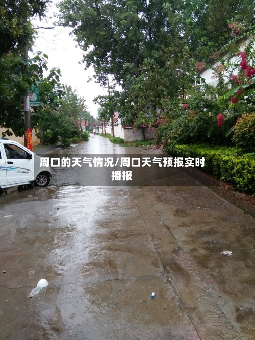 周口的天气情况/周口天气预报实时播报