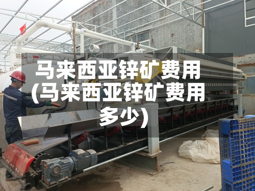 马来西亚锌矿费用(马来西亚锌矿费用多少)