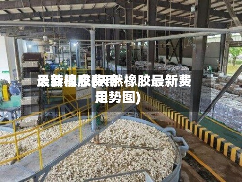 天然橡胶费用最新消息(天然橡胶最新费用走势图)-第2张图片