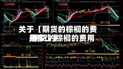 关于【期货的棕榈的费用,期货的棕榈的费用是多少】
