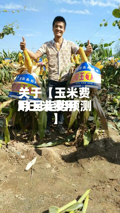 关于【玉米费用1,玉米费用11月走势预测】
