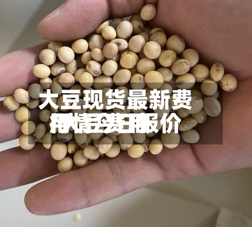 大豆现货最新费用/大豆费用行情今日报价