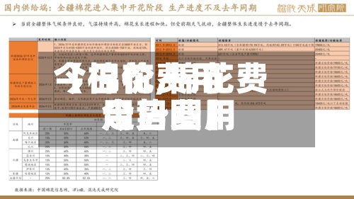 【棉花费用今日价,棉花费用今日费用走势图】