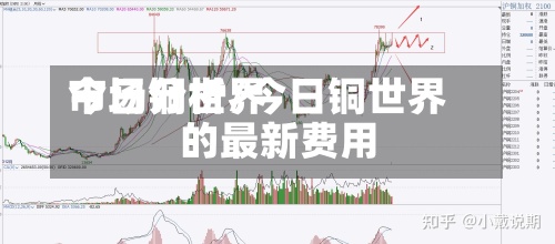 今日铜世界市场分析/今日铜世界的最新费用