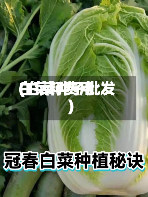 白菜籽费用(白菜种子批发)