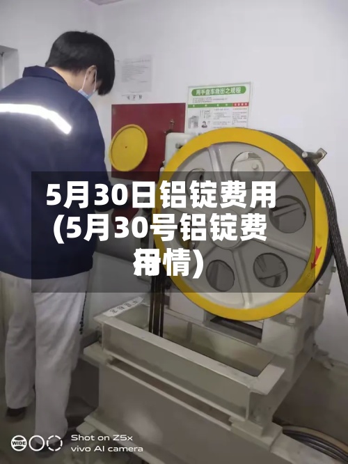 5月30日铝锭费用
(5月30号铝锭费用
行情)-第2张图片