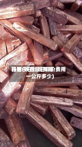陕西今日红铜费用
行情(陕西今日铜价费用
一公斤多少)-第2张图片