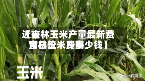 近来【吉林玉米产量最新费用吉林玉米费用今日价一斤多少钱】-第2张图片