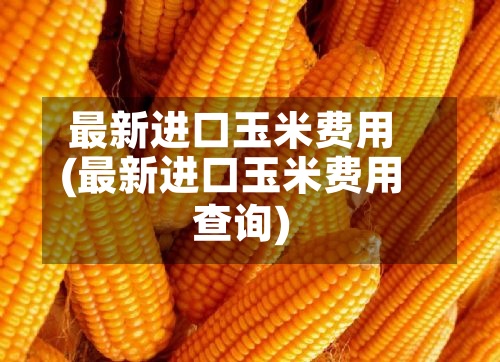 最新进口玉米费用(最新进口玉米费用查询)-第2张图片