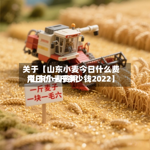 关于【山东小麦今日什么费用,山东小麦费用今日价一斤多少钱2022】