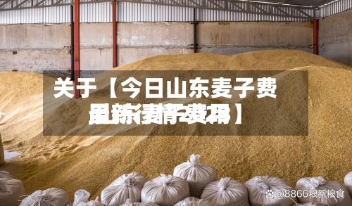 关于【今日山东麦子费用
,山东麦子费用
最新行情2023】-第2张图片