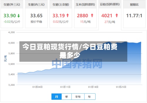 今日豆粕现货行情/今日豆粕费用
是多少-第3张图片