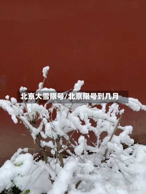 北京大雪限号/北京限号到几月