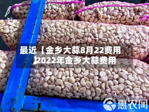 最近【金乡大蒜8月22费用
,2022年金乡大蒜费用
】-第3张图片