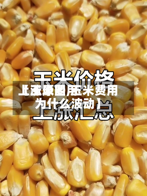 【玉米费用上涨原因,玉米费用为什么波动】-第2张图片