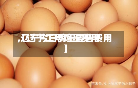 【辽宁二号鸡蛋费用,辽宁今日鸡蛋零售费用】-第2张图片